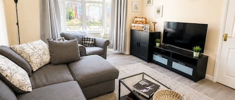 Smart TV, DVD player, books