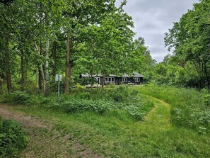 Ein Haus, umgeben von dichtem Wald, mit einem sichtbaren Weg dorthin.