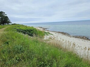 Ein Küstenpfad mit Gras, einer Bank und Blick auf das Meer.