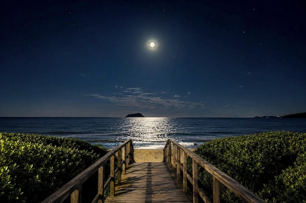 A wooden boardwalk leading to a beach with a moonlit night sky.