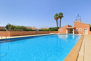 A clear blue swimming pool with a tiled edge, surrounded by a low wall and a palm tree.
