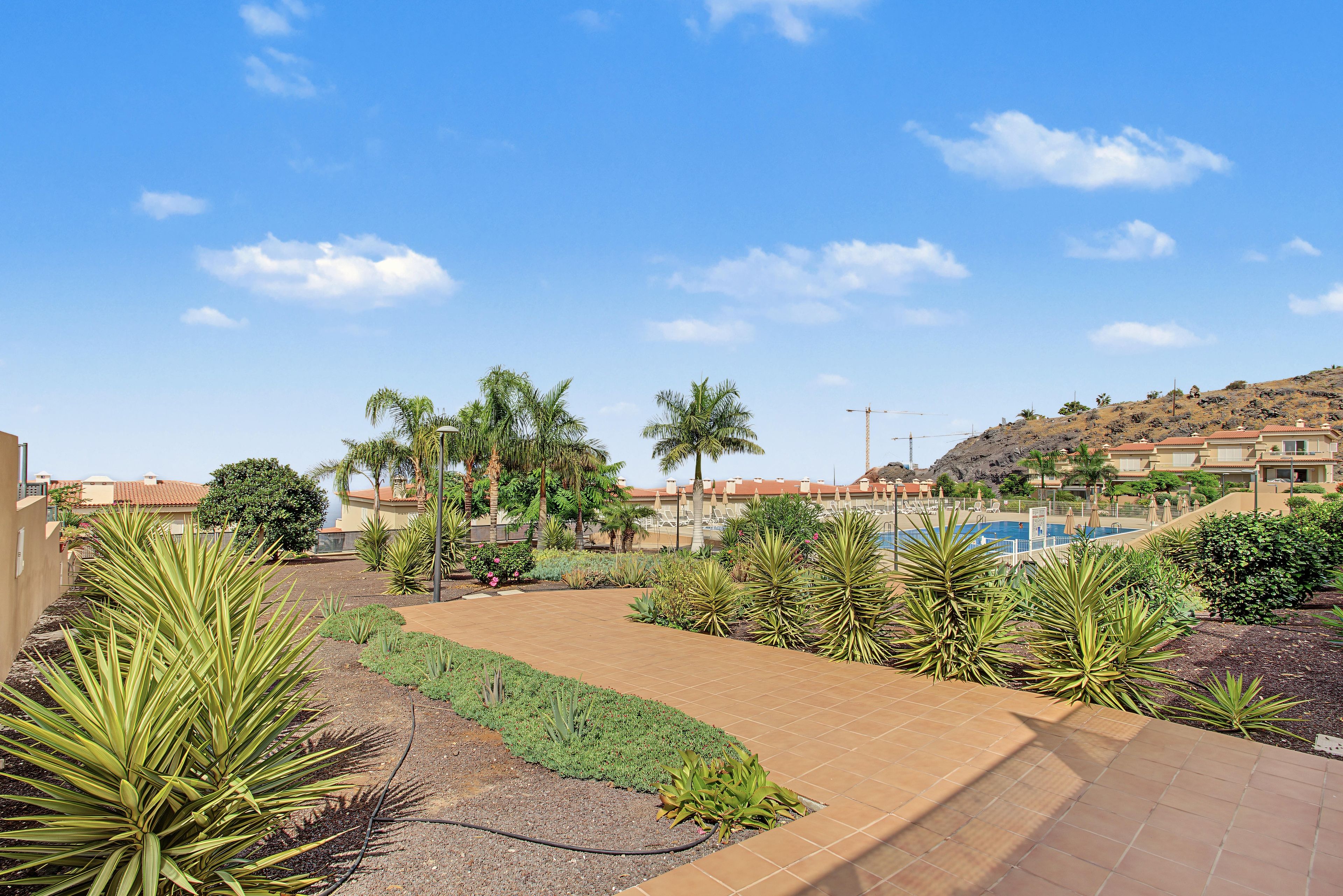 A landscaped outdoor area with a swimming pool, palm trees, and a hilly backdrop.