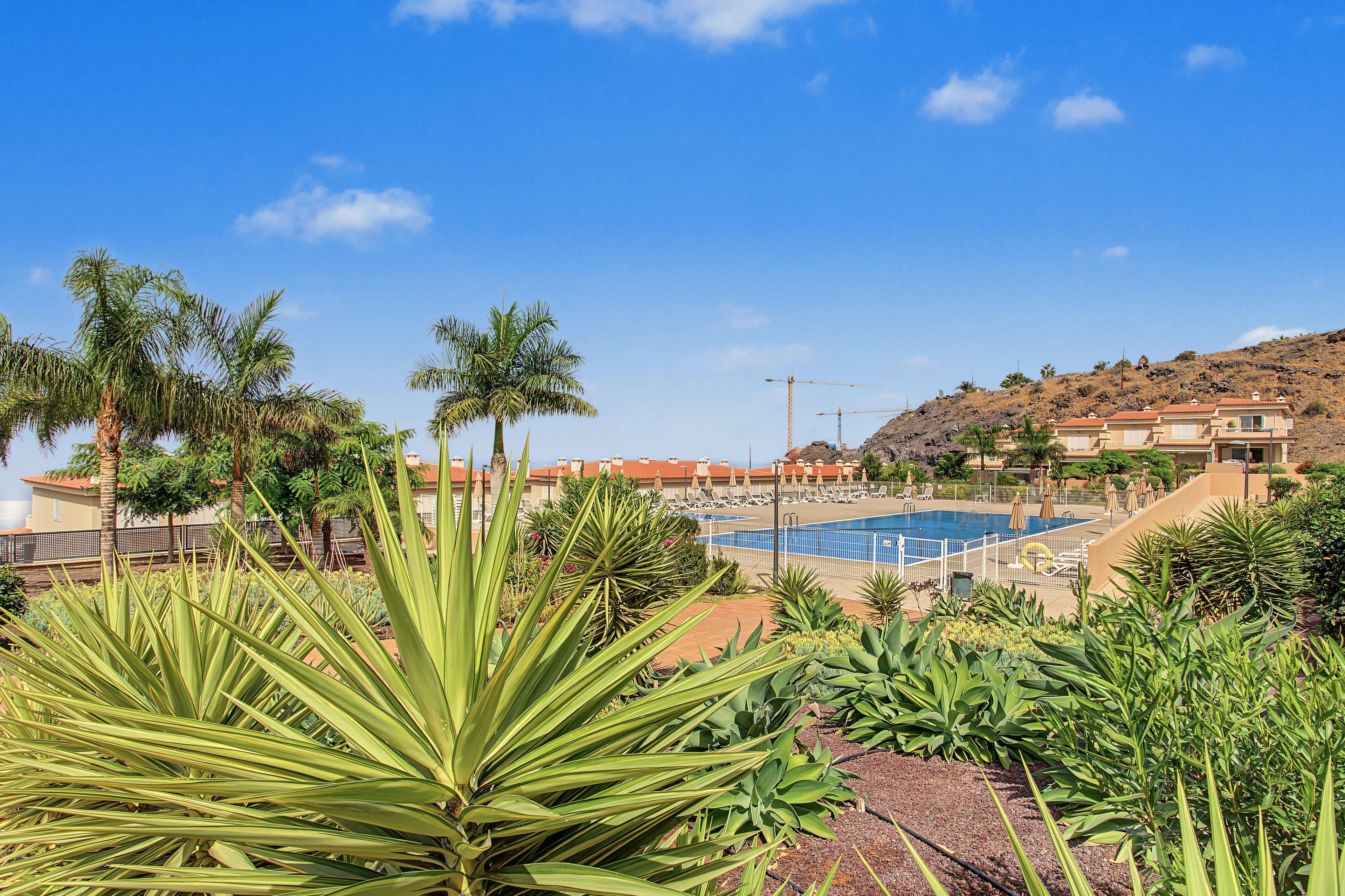 A resort with a swimming pool, palm trees, and a mountainous backdrop.