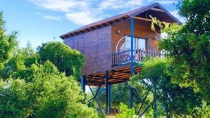Uma cabana de madeira erguida sobre pilares, rodeada por árvores.