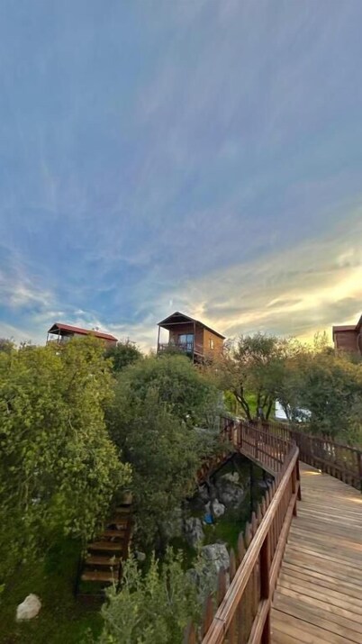 SAFARI HUTS