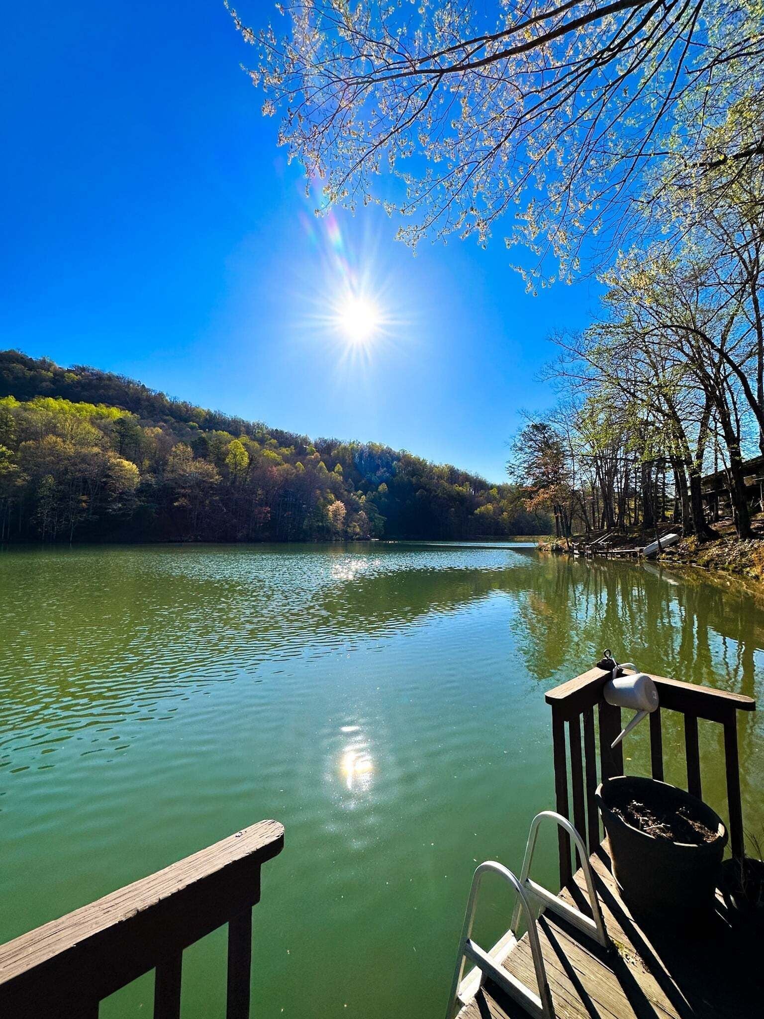 A calm lake with a wooden dock, surrounded by trees and a clear sky.