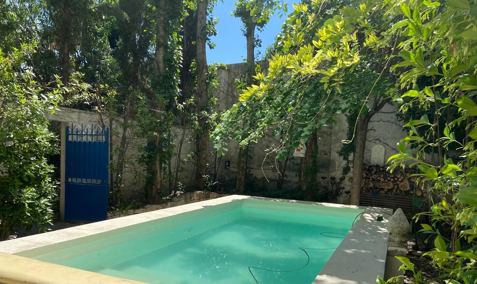 Una piscina rectangular con agua cristalina, rodeada de abundante vegetación y un portón azul.