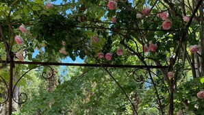 A pool area with a pergola covered in flowers, a blue gate, and a stone wall. - Notre Dame des Miracles - In the Heart of Avignon - Private Pool - 14 people (Avignon)
