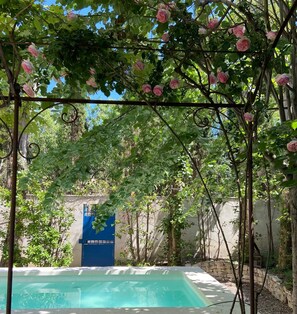 Ein Poolbereich mit einer Pergola, die mit Blumen bewachsen ist, einem blauen Tor und einer Steinmauer.