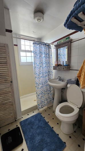 A bathroom with a toilet, sink, shower curtain, and a window. - Lovely 1-bedroom apartment with AC in charming Woodstock (Woodstock)