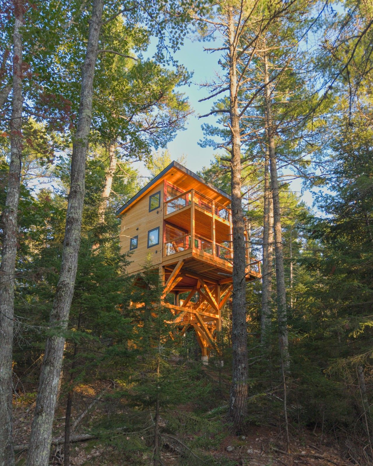 The Alder Treehouse