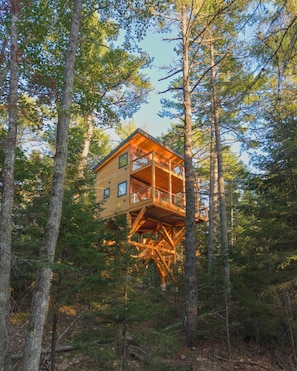 A wooden cabin elevated on stilts among trees. - Forest Views | Private Hot Tub | Alder Treehouse (Ellsworth)