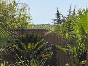 A garden with various plants and a wooden fence. - Villa Lamartine, 10 minutes from the beach and downtown—BRAND-NEW … (Provence-Alpes-Côte d'Azur)