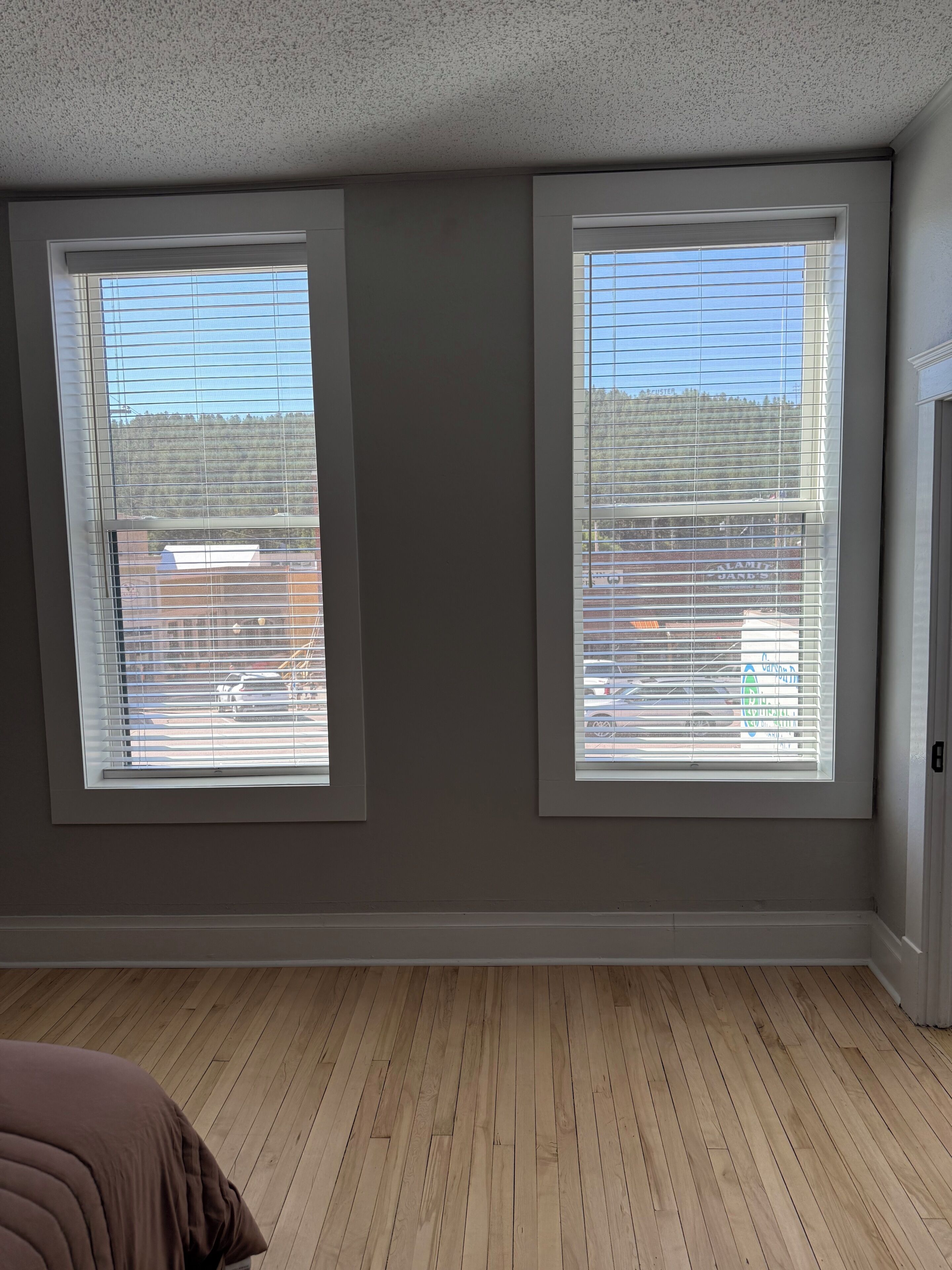 A room with two windows, a wooden floor, and a door.