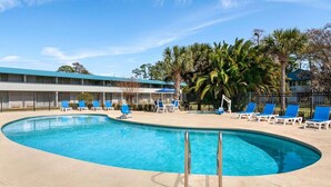 Una piscina con sillas azules, una palmera y un edificio al fondo.
