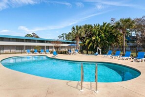 A swimming pool with blue chairs, a palm tree, and a building in the background.