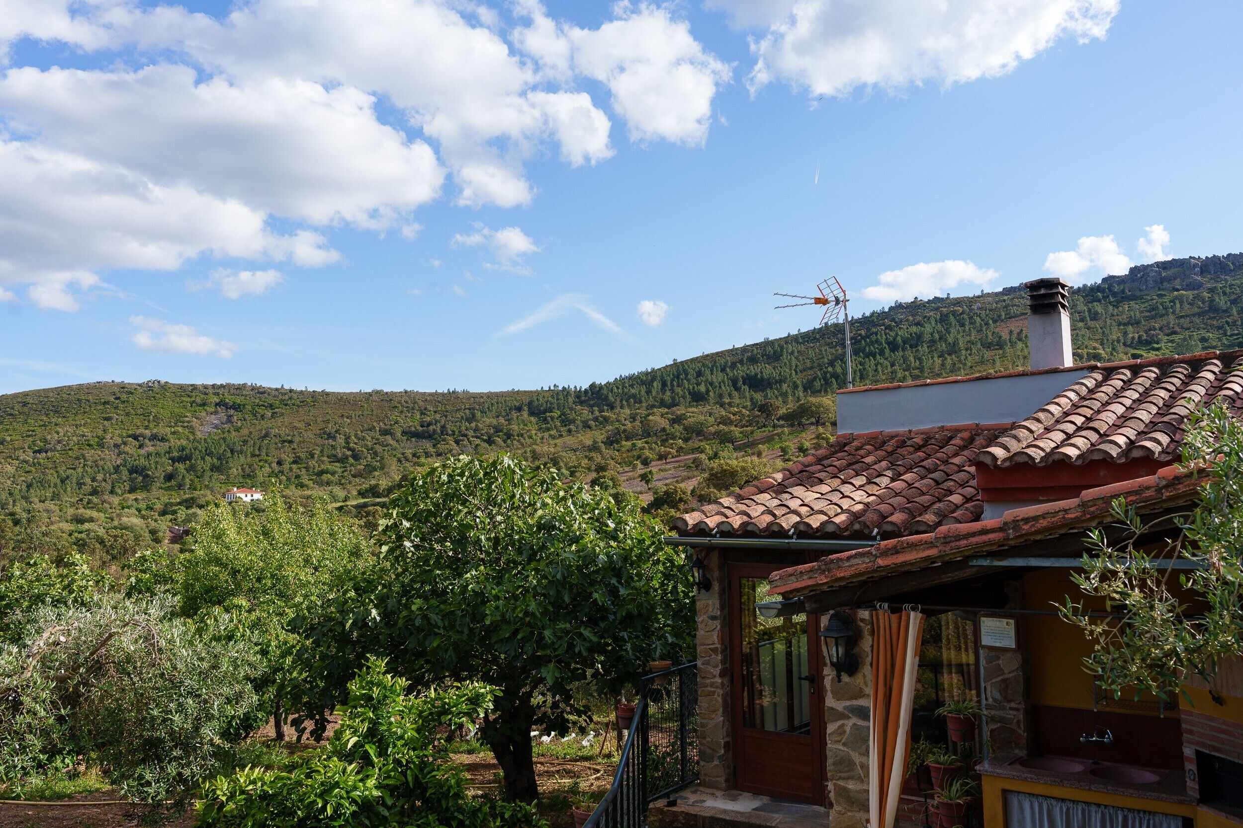 A house with a tiled roof, a stone chimney, and a small balcony with potted plants.