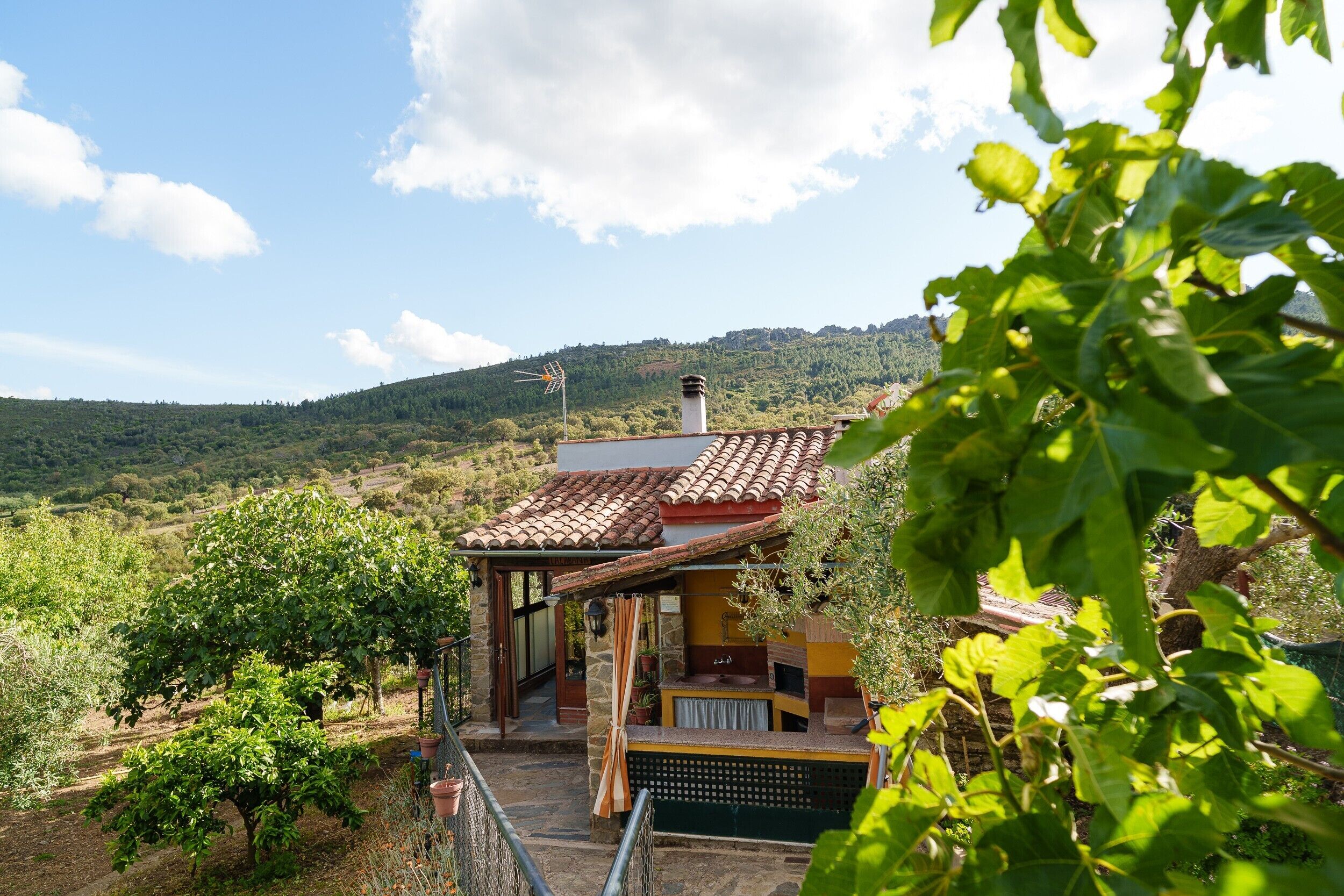A rustic house with a tiled roof, a stone staircase, and a view of a vineyard.