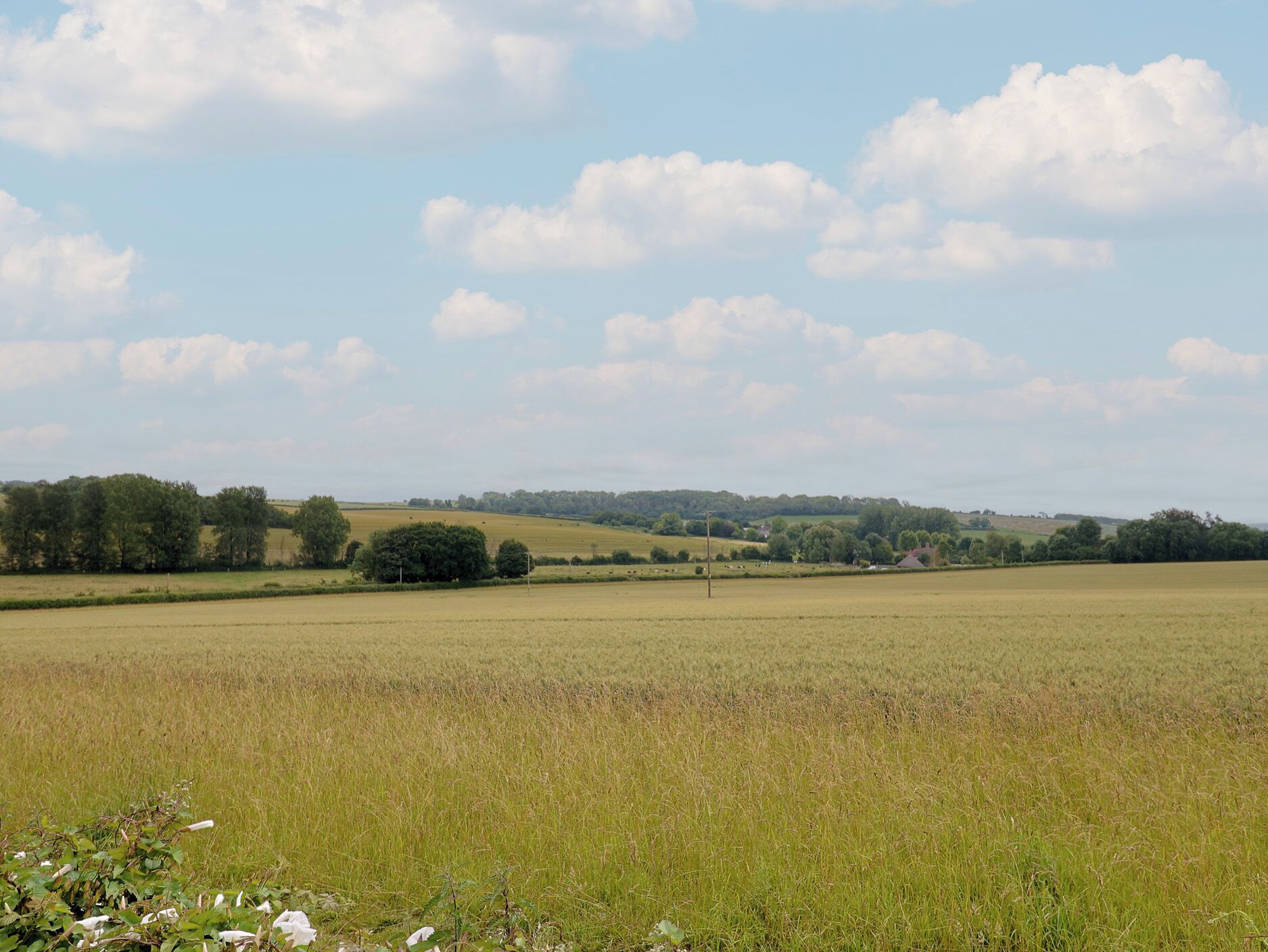 Een landelijk landschap met open velden, bomen en een heldere lucht.
