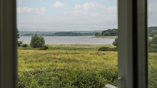 Blick auf einen See mit einer grünen Wiese im Vordergrund und Bäumen in der Ferne.