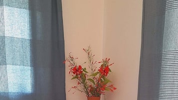 Familie vierpersoonskamer, uitzicht op het strand | Interieur