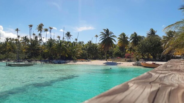 A wooden deck overlooking turquoise waters with palm trees and a sandy beach in the background.