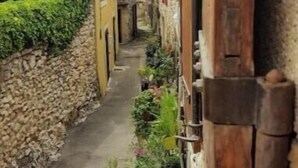 Property grounds - A quiet, authentic Provençal-style house. In the historic center of the village. (Vedène)