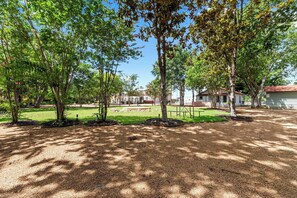 Ein Park mit Bäumen, einer Rasenfläche und einem Gebäude im Hintergrund.
