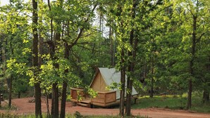 Un campeggio immerso nel bosco con una sola tenda e un piccolo pontile in legno.
