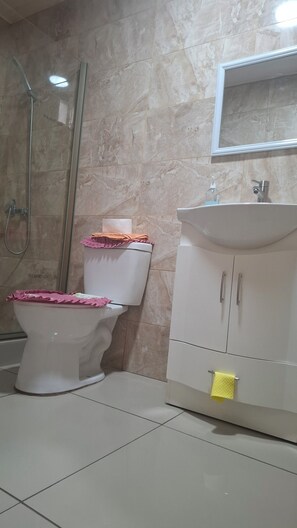 A bathroom with a toilet, a sink, a mirror, and a shower.