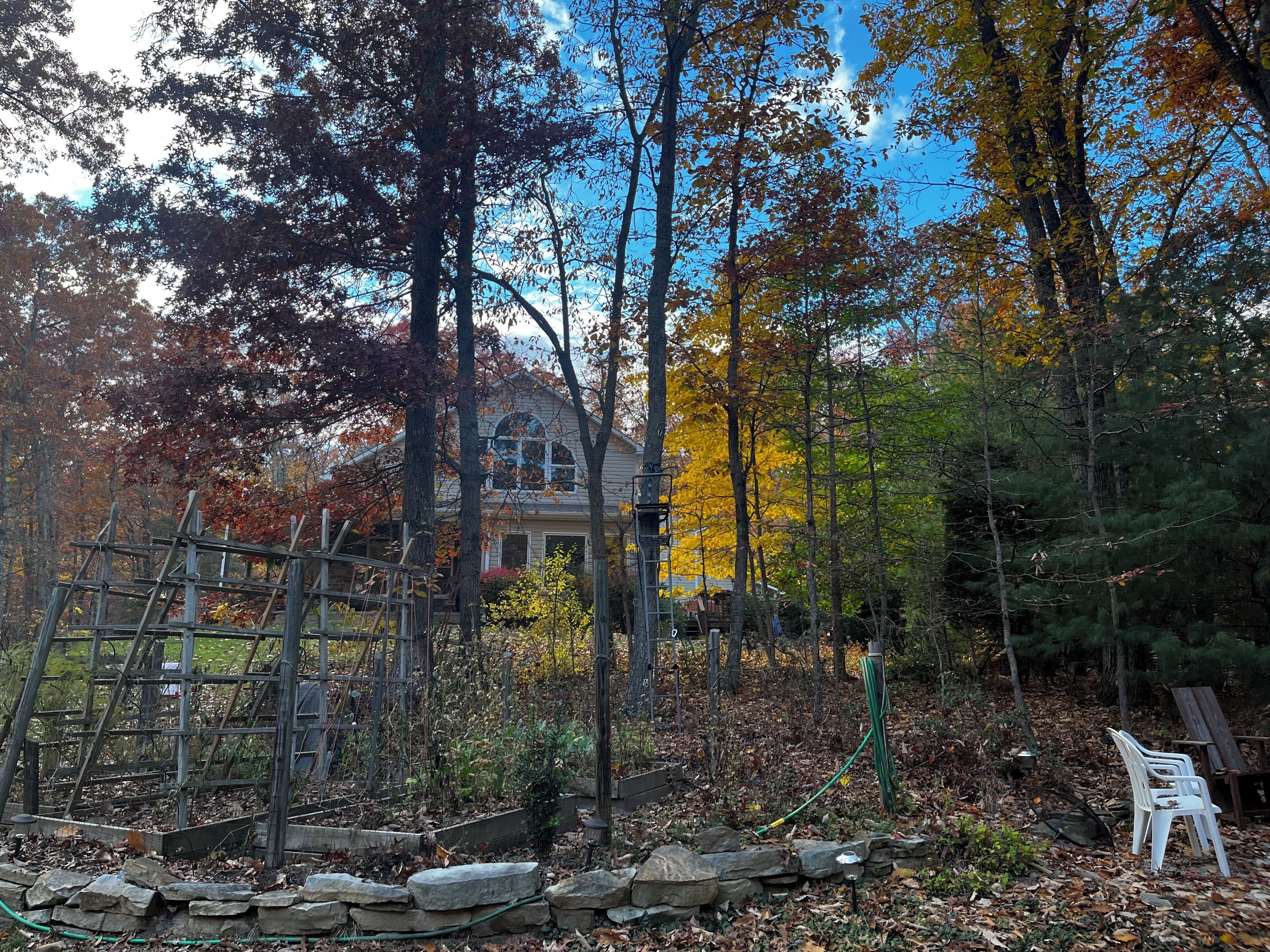 A residential area with a house, a wooden fence, and a garden with various plants and trees.
