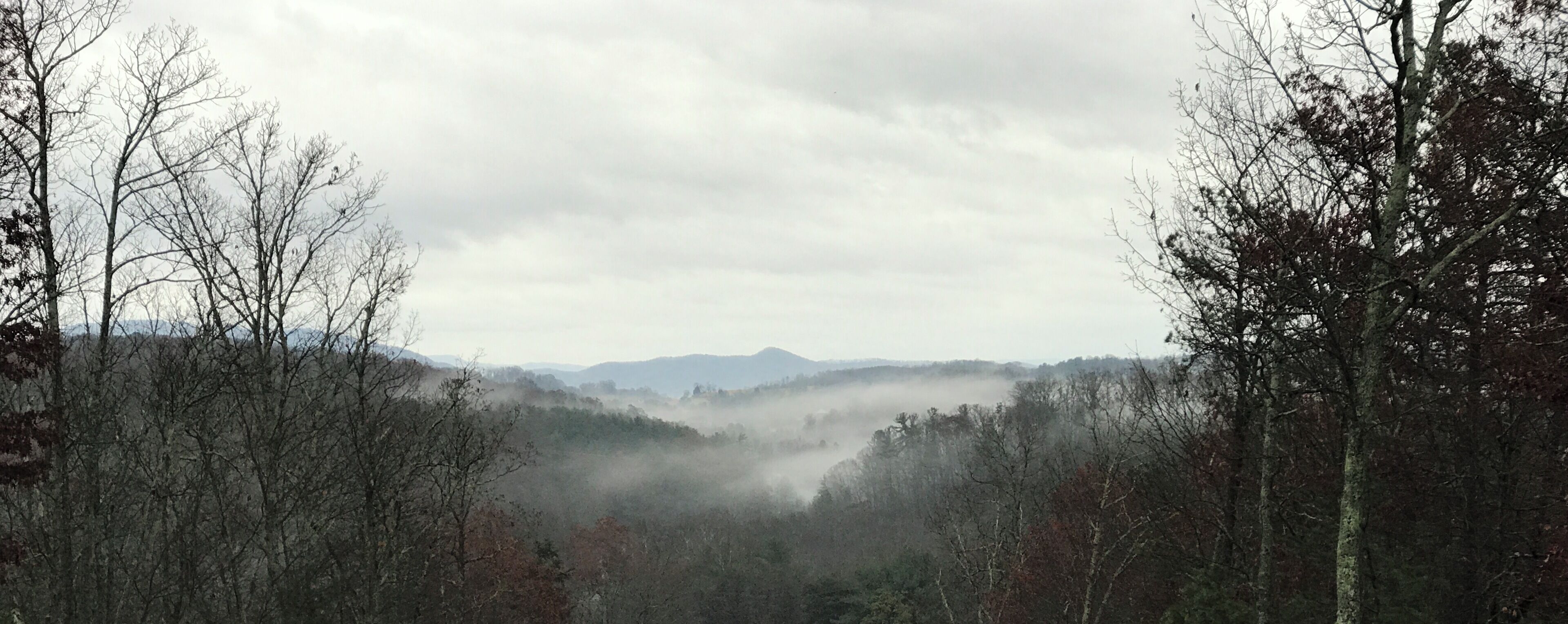 Ein bewaldetes Tal mit einem Berg in der Ferne und einem bewölkten Himmel.