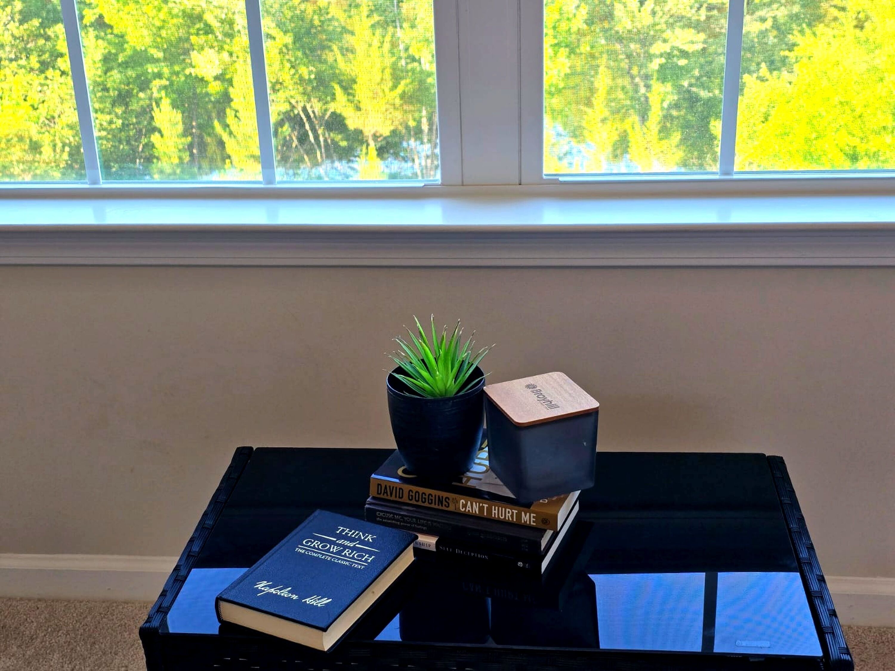 A black table with a potted plant, a stack of books, and a small wooden box.