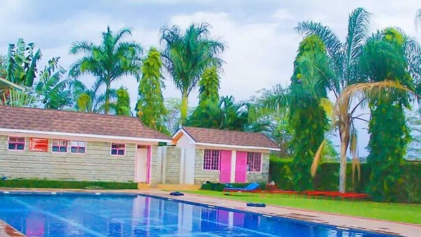 Una piscina de borde curvo, rodeada de palmeras y dos edificios pequeños con fachadas rosa y blancas.