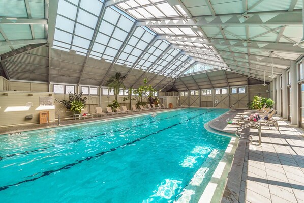 Ein Hallenbad mit klarem Wasser, umgeben von Liegestühlen und Topfpflanzen.