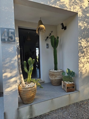 A building entrance with a number '45' sign, a hanging light fixture, and three potted cacti. - Beautiful, air-conditioned house with a hot tub (Calvisson)