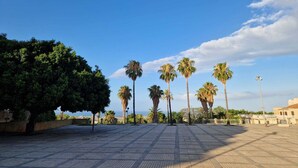 A paved plaza with palm trees and a clear blue sky.