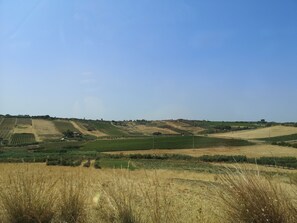 A rural landscape with rolling hills, fields, and sparse vegetation.