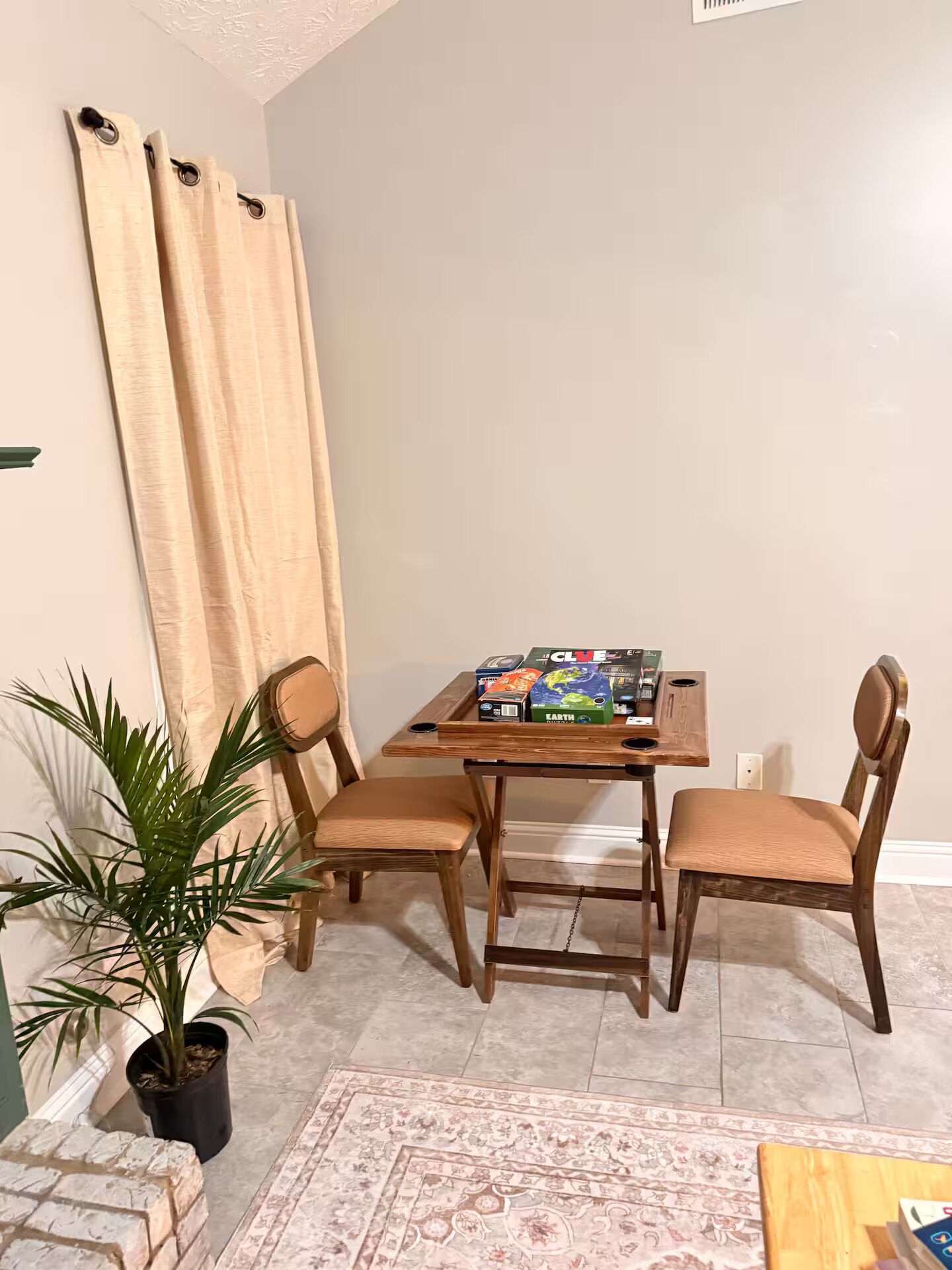 Un coin repas avec une table et des chaises en bois, une plante en pot et un tapis à motifs.