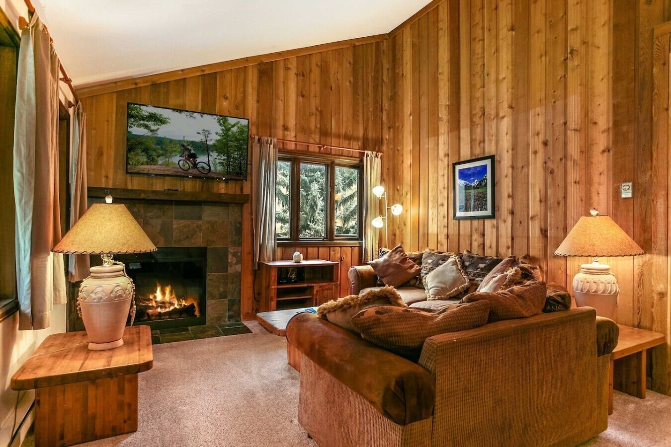 TV, fireplace