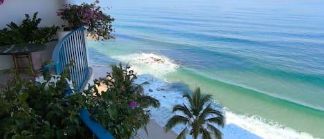 Ein Balkon mit Blick auf das Meer, eine Palme und ein blaues Geländer.