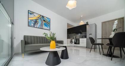 New 1 bedroom flat in Aglatzia