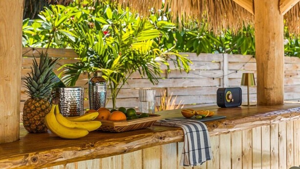 Una barra de madera con techo de paja, una piña, plátanos, naranjas y un radio.