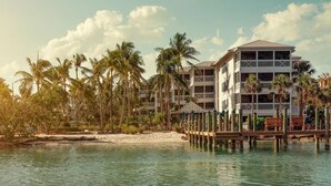 Un hôtel situé en bord de mer, doté de nombreux balcons, d’une jetée et de palmiers.