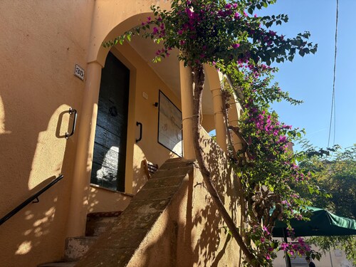 Casa Bouganvillea will welcome you right in the heart of the historic center, just a stone's throw from the sea