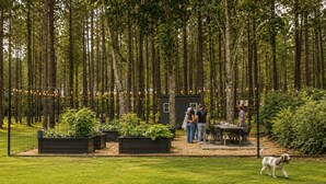 A garden with raised beds, a table, and chairs.