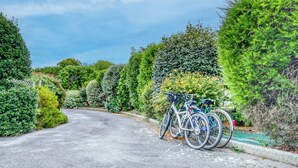 Una strada asfaltata costeggiata da siepi curate e una bicicletta parcheggiata sul lato.