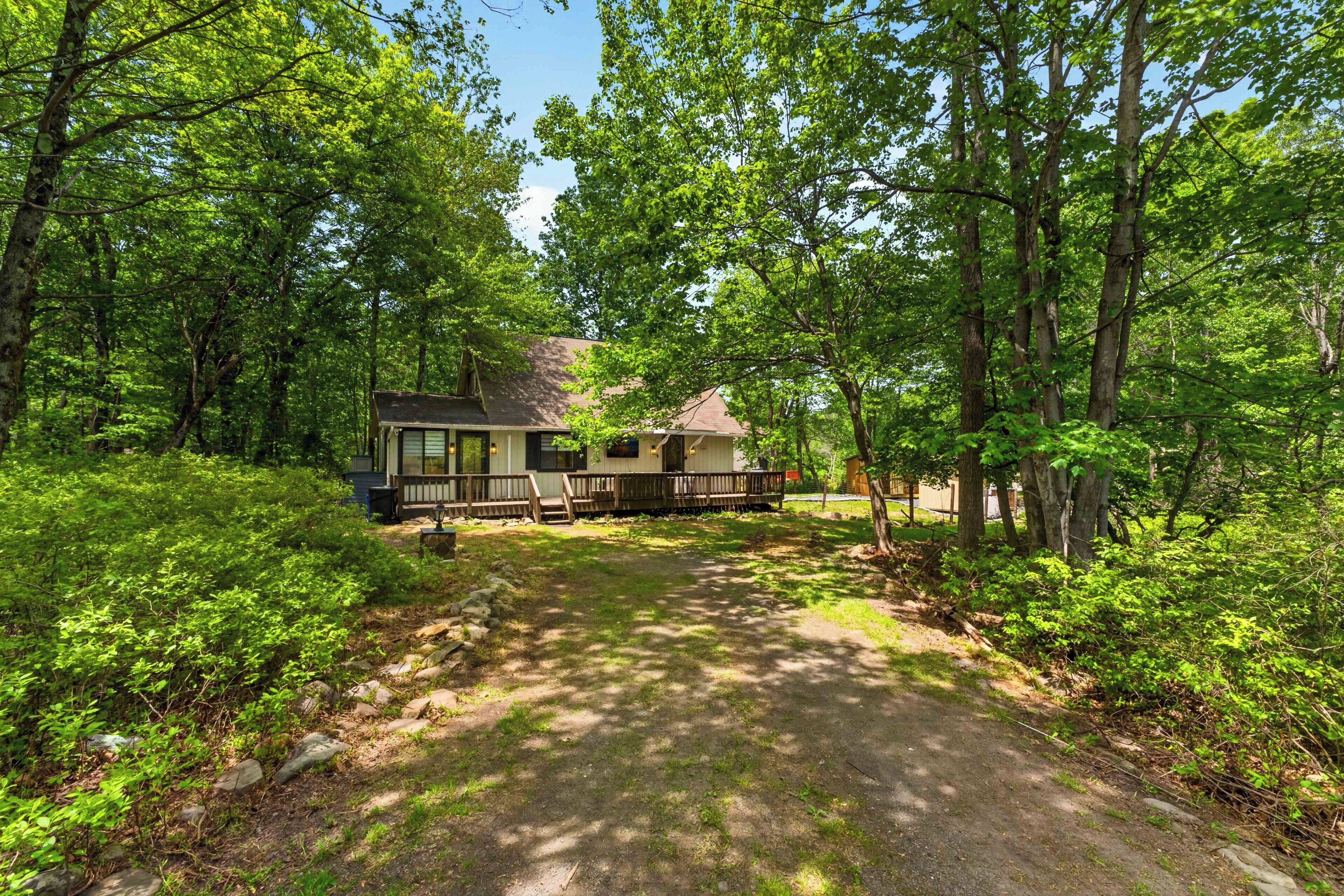 A cabin surrounded by dense forest, with a dirt path leading to the entrance.