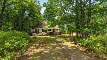 A cabin surrounded by dense forest, with a dirt path leading to the entrance.