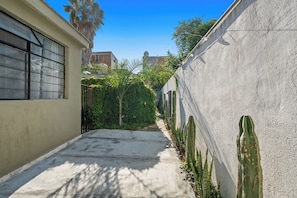 Un estrecho callejón con sendero de concreto, cactus y un edificio con ventana a la izquierda.